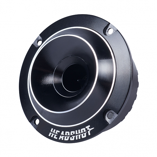 Headshot F36