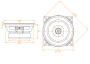 DL Audio Gryphon Lite 100 V.3