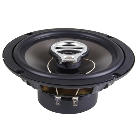 AMP Beat 653