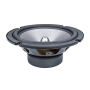 AMP Beat 6.5