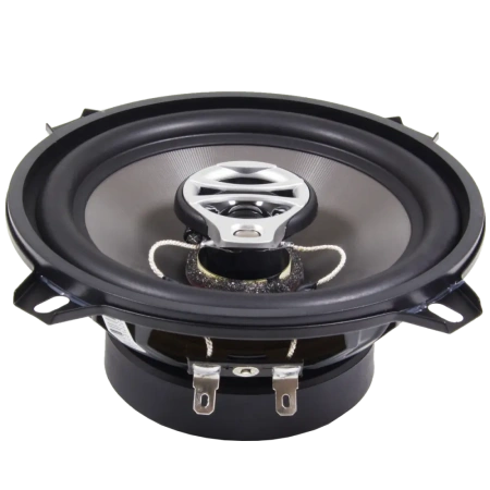 AMP Beat 503