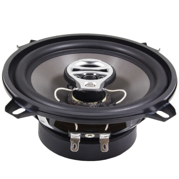 AMP Beat 503