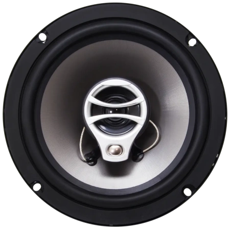 AMP Beat 653