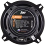 AMP Beat 503