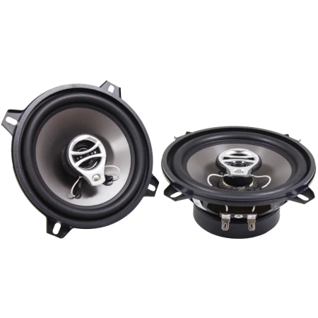 AMP Beat 503