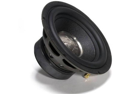 MOREL PRIMO 804