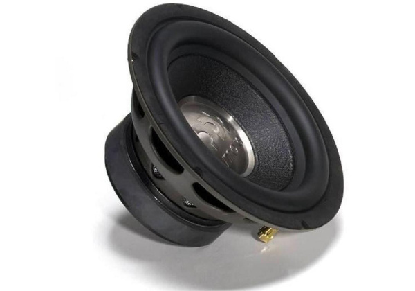 MOREL PRIMO 804