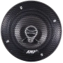 AMP Beat 503