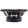 AMP Beat 503