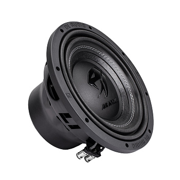 DL Audio Anaconda 10