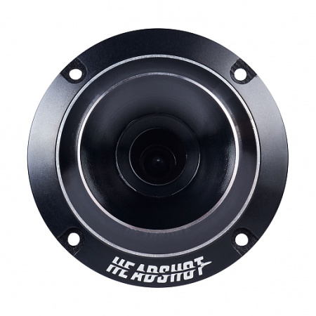 Headshot F36